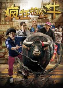 超级新闻场[2019]