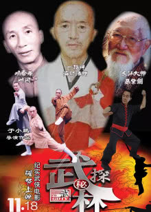 功夫片岁月